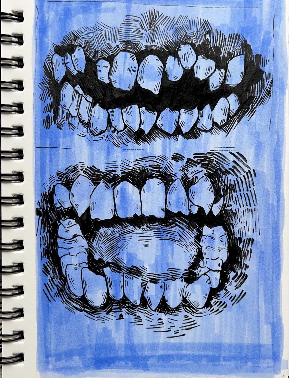 ink illustration of teeth with a blue background